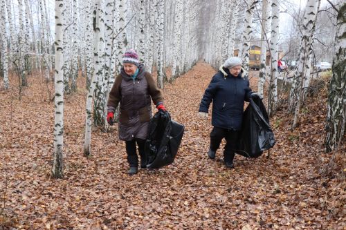 Волонтеры серебряного возраста отметили день рождения Центра активного долголетия и здоровья добрыми делами