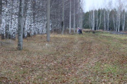 Волонтеры серебряного возраста отметили день рождения Центра активного долголетия и здоровья добрыми делами