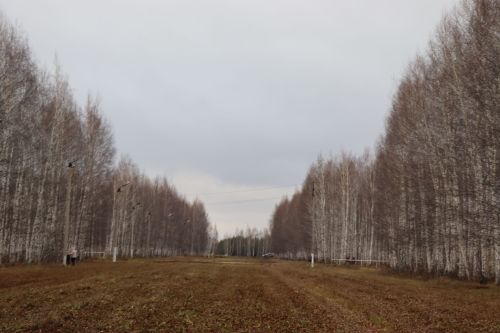 Волонтеры серебряного возраста отметили день рождения Центра активного долголетия и здоровья добрыми делами