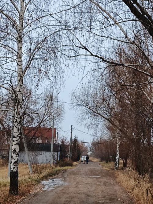 Погода в Нурлате 12 ноября