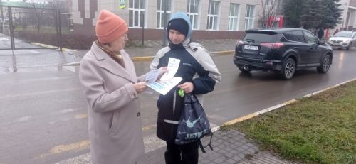 В Нурлате провели акцию «Внимание — дорога!» в преддверии Всемирного дня памяти жертв ДТП
