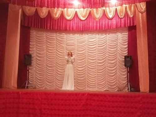 В Егоркино прошел ежегодный благотворительный концерт в честь престольного праздника