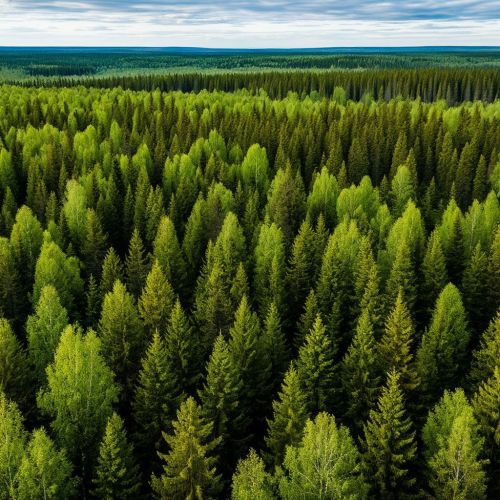Календарь праздников на 8 ноября 2025 года