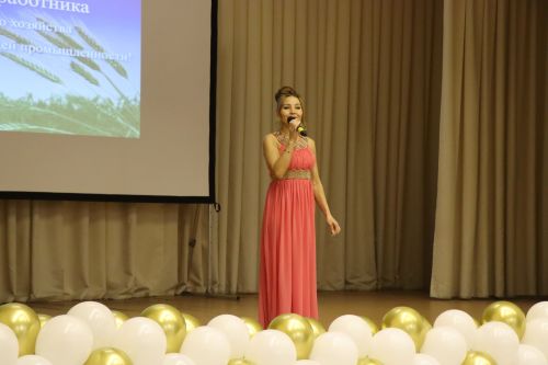 В Нурлате чествовали передовиков сельского хозяйства (+фоторепортаж)