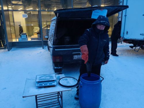Нурлатские фермеры покорили Казань свежей продукцией