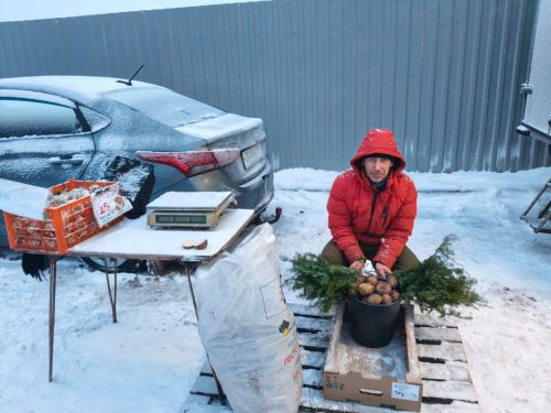 Нурлатские фермеры покорили Казань свежей продукцией