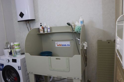 Социальный контракт помог Светлане из Нурлата воплотить детскую мечту в реальность