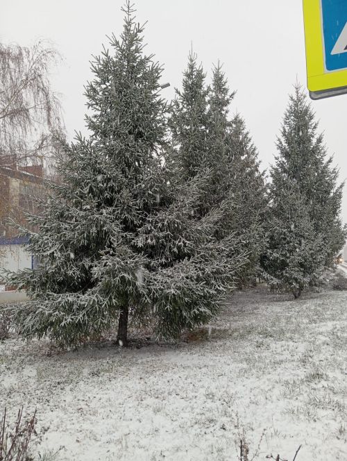 Погода в Нурлате 18 декабря