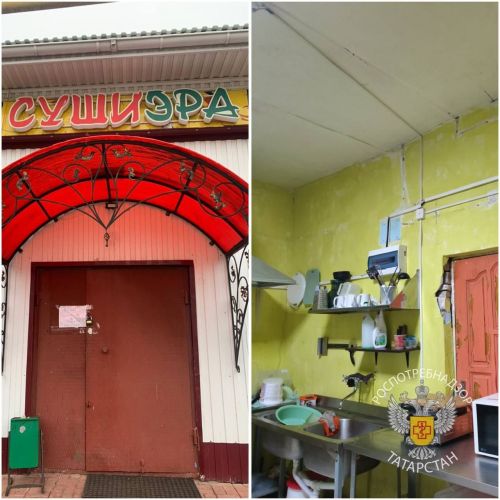 Деятельность кафе «Суши Эра» в Нурлате приостановлена на месяц после выявления кишечной инфекции