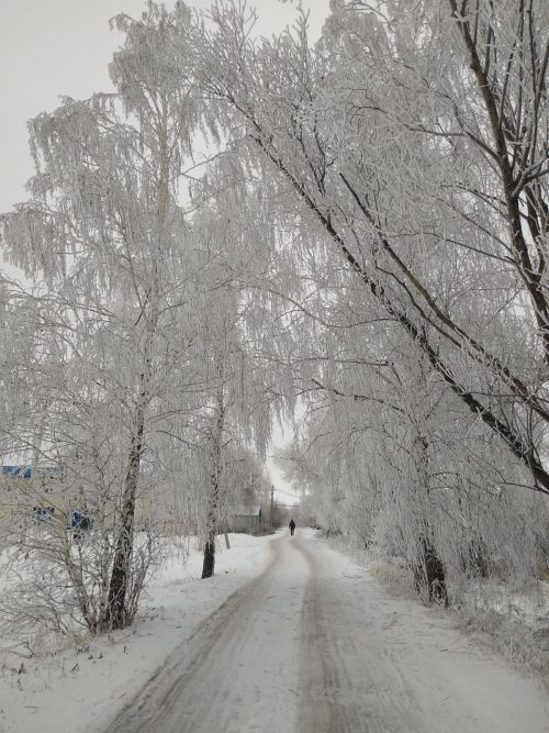 Татарстанцев предупреждают о резком понижении температуры до -29˚