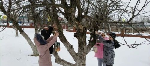 Юные экологи Мамыковской школы открыли зимнюю «столовую» для пернатых