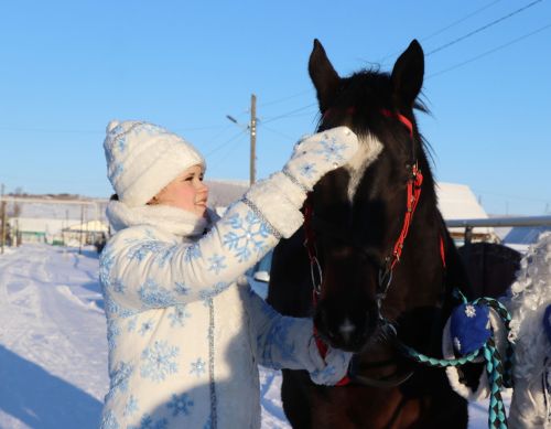 Семья Сатдаровых: Пусть год Лошади принесет мир и благополучие!