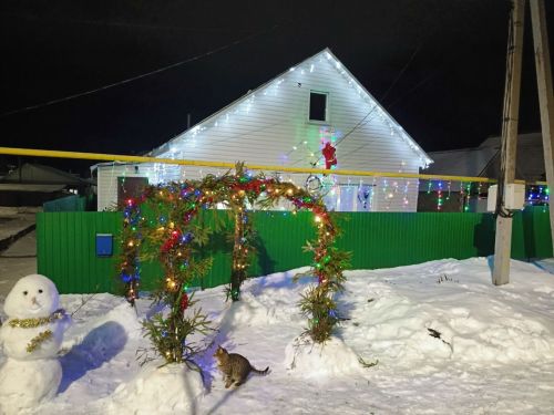 Игнатьевы из Нурлата  ярко украсили свой дом к новогодним праздникам