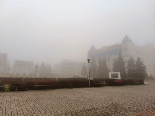 Ночью и утром 5 декабря в Татарстане ожидается туман