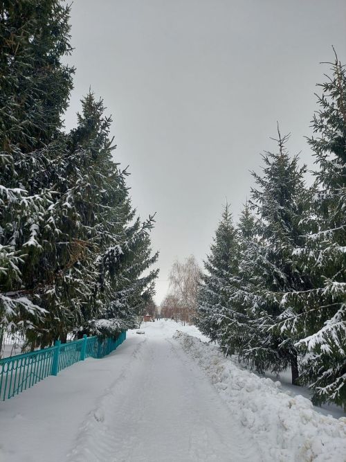 Погода в Татарстане на ближайшие дни
