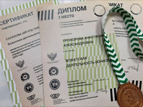 Нурлатская школьница – бронзовый призер регионального этапа Чемпионата «Профессионалы»