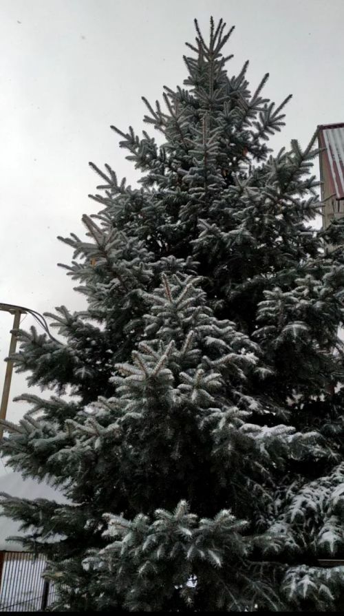 Ежедневный оперативный прогноз погоды с 18 часов 16 февраля до 18 часов 17 февраля 2025 года