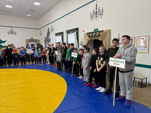 В Нижнем Нурлате состоялся традиционный турнир по корэш памяти земляков