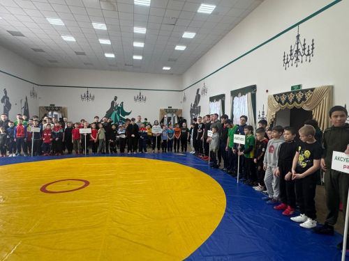 В Нижнем Нурлате состоялся традиционный турнир по корэш памяти земляков