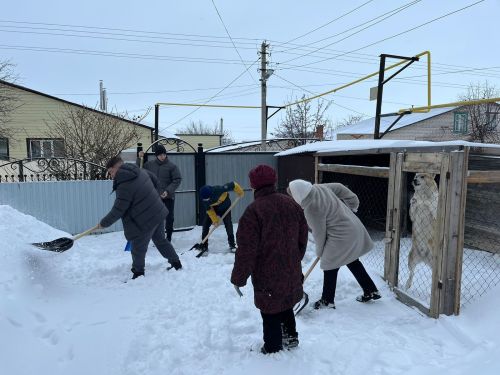 Юнармейцы школы №1 помогли расчистить от снега двор матери погибшего бойца СВО