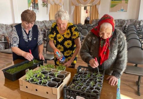 «Лукошко в окошко»: В Нурлатском доме-интернате расцветают таланты и растения