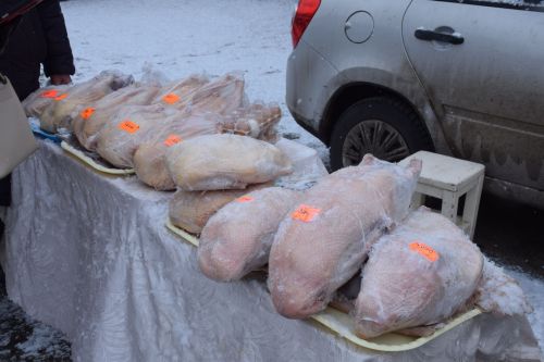 В Нурлате проходит первая весенняя сельскохозяйственная ярмарка