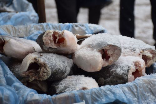 В Нурлате проходит первая весенняя сельскохозяйственная ярмарка