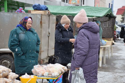 В Нурлате проходит первая весенняя сельскохозяйственная ярмарка