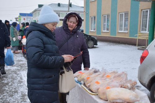 В Нурлате проходит первая весенняя сельскохозяйственная ярмарка