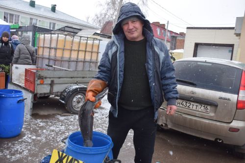В Нурлате проходит первая весенняя сельскохозяйственная ярмарка