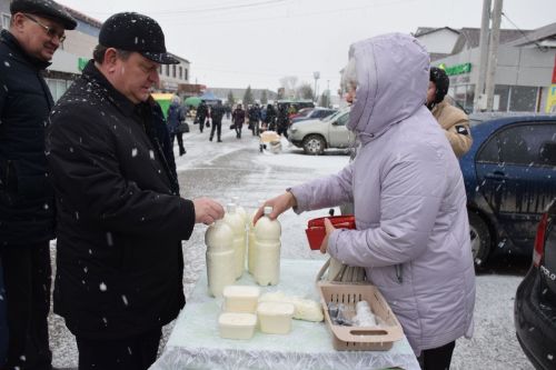 В Нурлате проходит первая весенняя сельскохозяйственная ярмарка