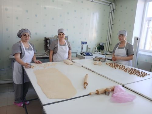 Рабочий визит представителей министерства экономики РТ в Нурлат: поддержка бизнеса и развитие промышленности