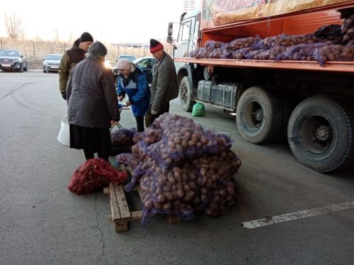 Нурлатские аграрии представили богатый ассортимент продукции на сельхозярмарке в Казани