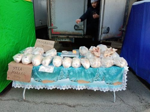 Нурлатские аграрии представили богатый ассортимент продукции на сельхозярмарке в Казани