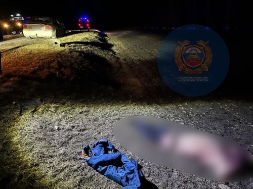 Ночное ДТП в Татарстане: водитель сбил пешехода без светоотражателей