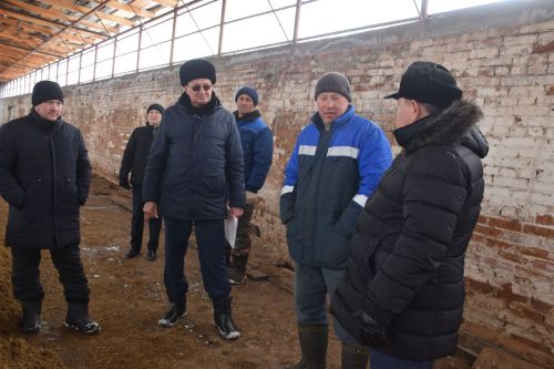 Шайдуллины из Старой Амзи в своем фермерском хозяйстве содержат порядка 500 голов лошадей и КРС