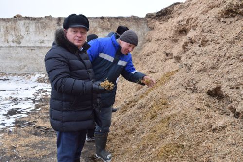 Шайдуллины из Старой Амзи в своем фермерском хозяйстве содержат порядка 500 голов лошадей и КРС