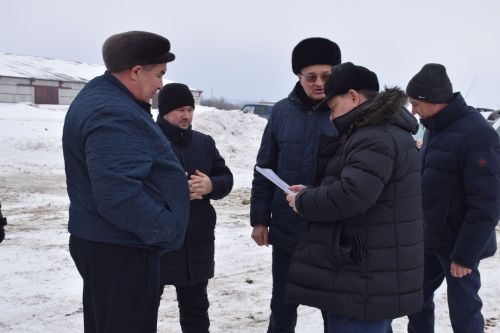 Шайдуллины из Старой Амзи в своем фермерском хозяйстве содержат порядка 500 голов лошадей и КРС