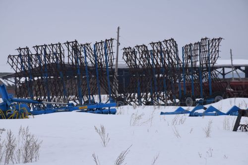 Шайдуллины из Старой Амзи в своем фермерском хозяйстве содержат порядка 500 голов лошадей и КРС