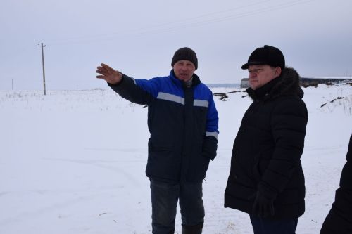 Шайдуллины из Старой Амзи в своем фермерском хозяйстве содержат порядка 500 голов лошадей и КРС