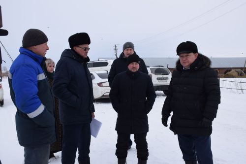 Шайдуллины из Старой Амзи в своем фермерском хозяйстве содержат порядка 500 голов лошадей и КРС