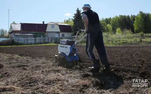 Владельцам заброшенных земель в Татарстане дали 3 года на приведение участков в порядок