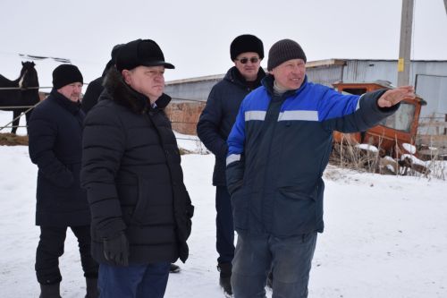 Шайдуллины из Старой Амзи в своем фермерском хозяйстве содержат порядка 500 голов лошадей и КРС