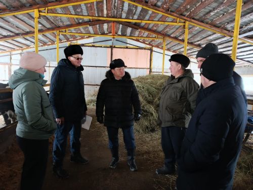 Дамир Ишкинеев посетил хозяйства Фаниля и Фаниса Гарифуллиных в Староальметьевском сельском поселении