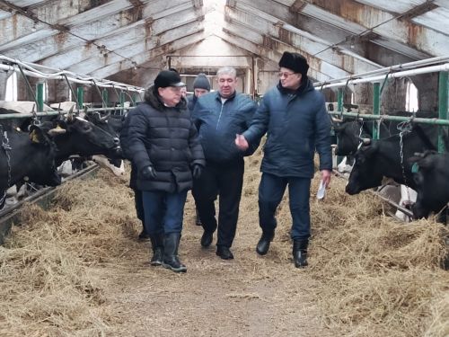 Дамир Ишкинеев посетил хозяйства Фаниля и Фаниса Гарифуллиных в Староальметьевском сельском поселении