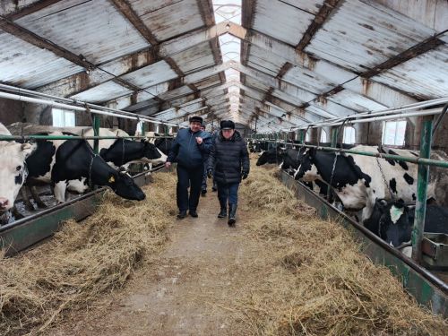 Дамир Ишкинеев посетил хозяйства Фаниля и Фаниса Гарифуллиных в Староальметьевском сельском поселении