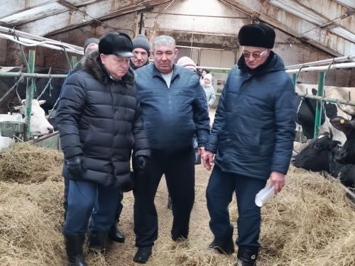 Фермер Фанил Гарифуллин планирует расширить хозяйство до 150 коров