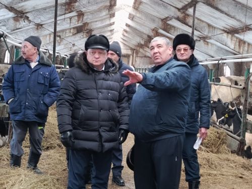 Фермер Фанил Гарифуллин планирует расширить хозяйство до 150 коров