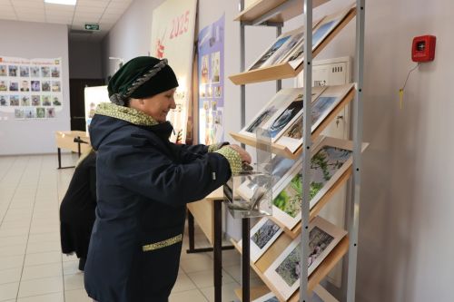 В Нижнем Нурлате прошел патриотический фестиваль «И песни тоже воевали…»