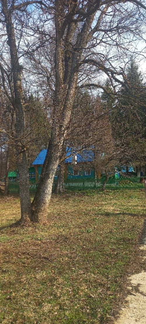Этим летом лагерь «Заречный» будет встречать детей по старому адресу